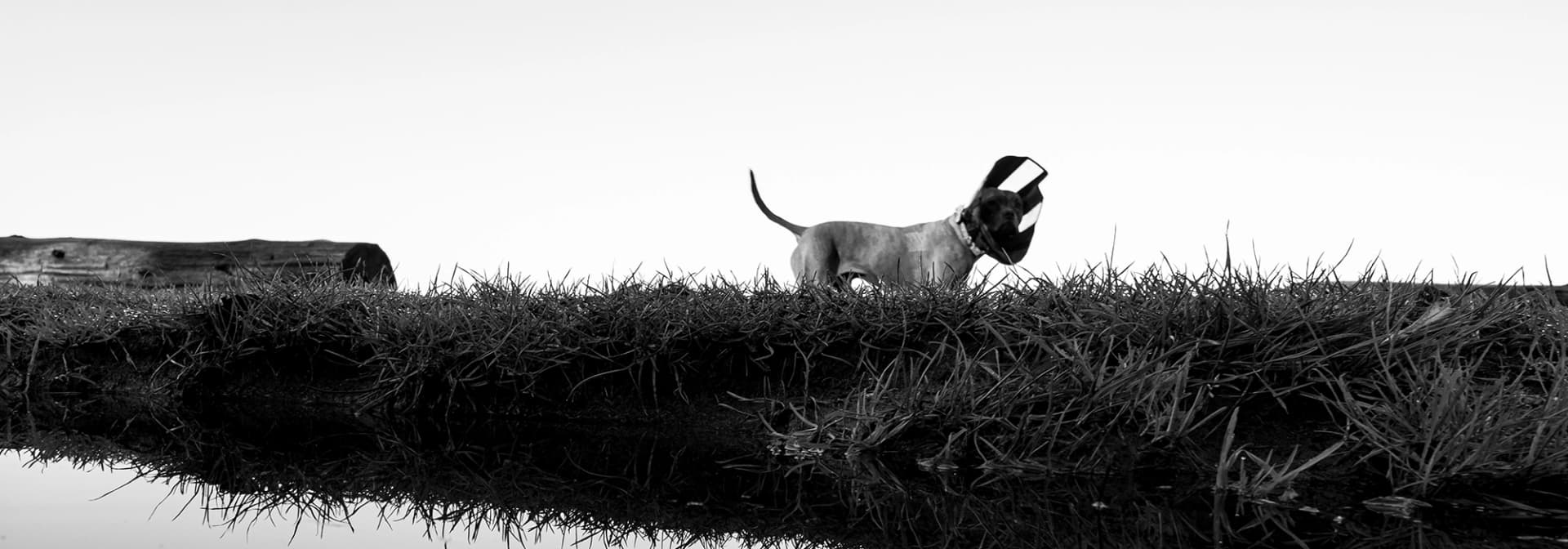 Asymetrical collection hero — reflection street photography in Vancouver by Miguel Franco, two realities mirrored in a single 16mm frame.
